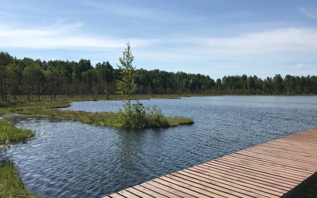 Дом с баней и камином