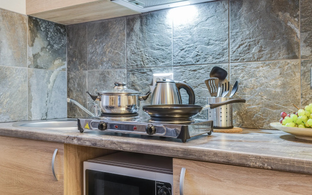 Апартаменты Семейная студия возле станции метро Технологический институт (ЕГ2)