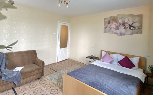 Квартира Просторная Однушка в Центре Мурома