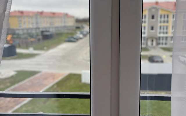 V Laskino Park Flat