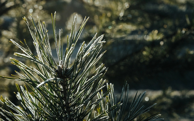 Гостевые дома в деревне BarnHouse Village