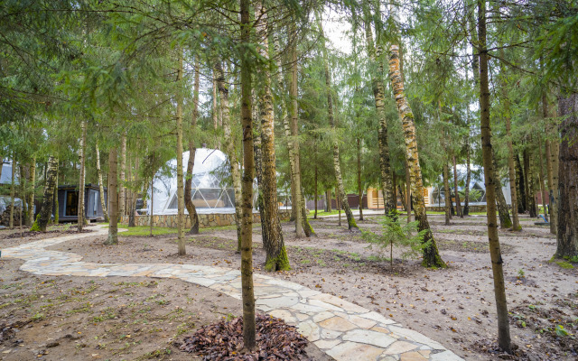 Частный дом Сфера в Лесу