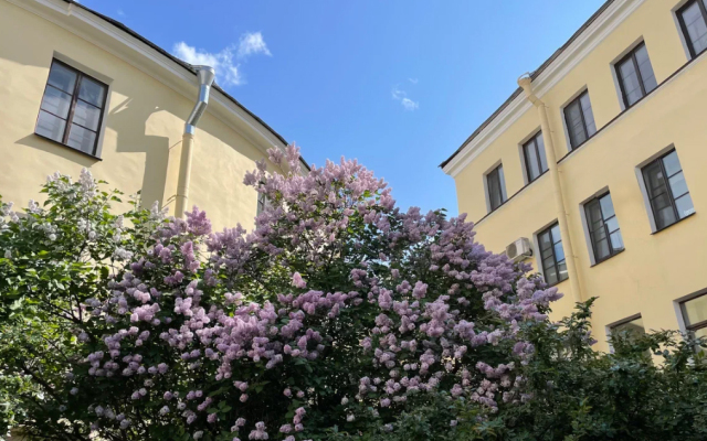 Loft F92 Na Naberezhnoy Reki Fontanki Flat