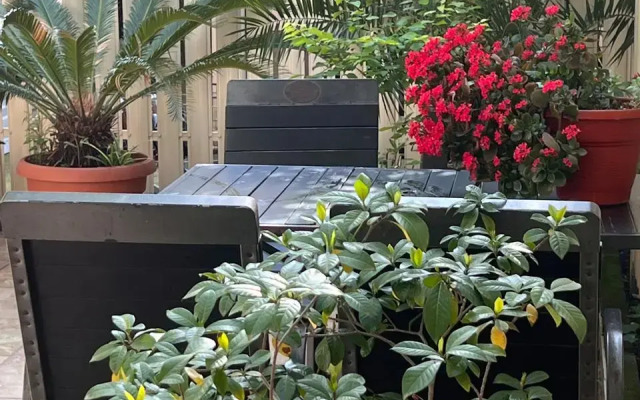 Aelita Guest House
