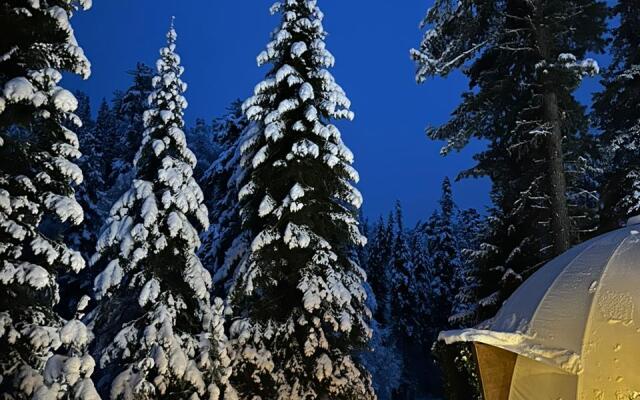 Глэмпинг Алтай Forest Glamp