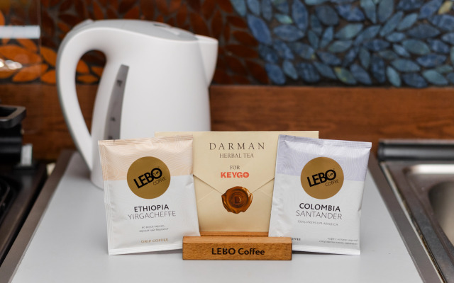 KeyGo 0215 Klyuch K Tsentru Yerevana Apartments