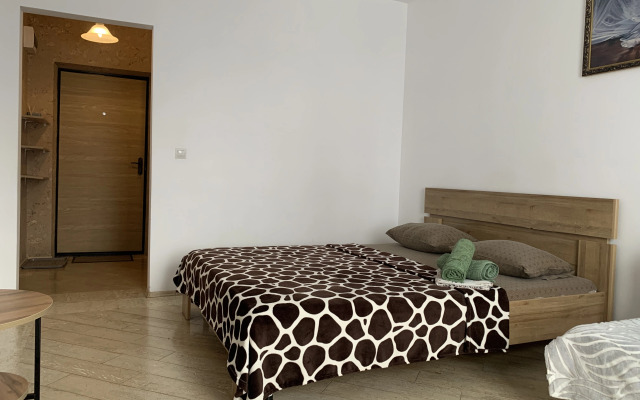Prekrasnaya Vozle Kristalla Ryadom S Centrom Flat