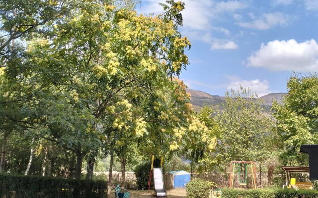 Квартира 44 Параллель