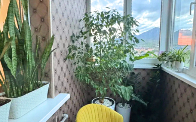 Квартира Forest Magic