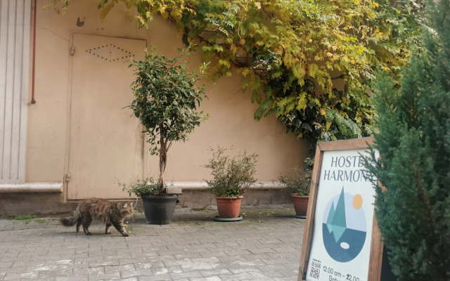 Хостел Harmony