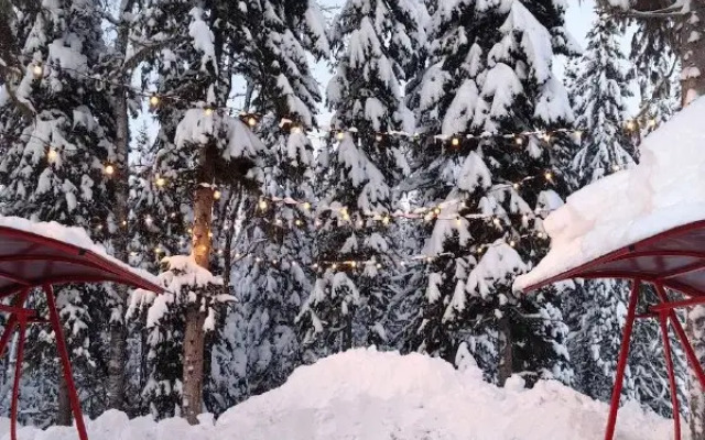 Меблированные комнаты Тетрис