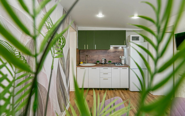 Апартаменты Шикарные в Кисловодске