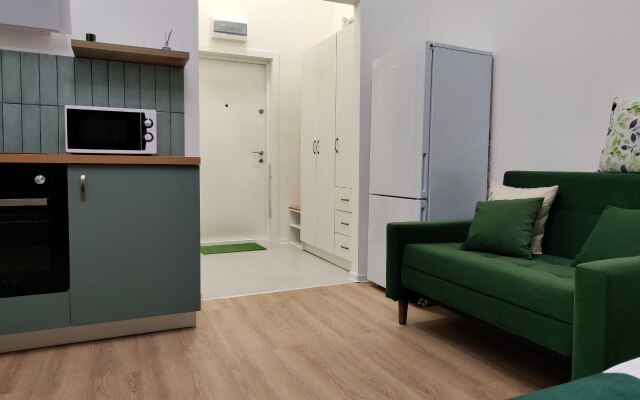 Green Room Serednevo Flat