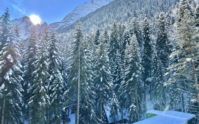 Квартира ArtHouse Dombay 12