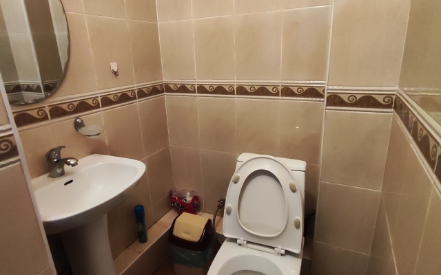 Dvukhkomnatnye Uyutnye v Samom Tsentre Bishkeka Apartments
