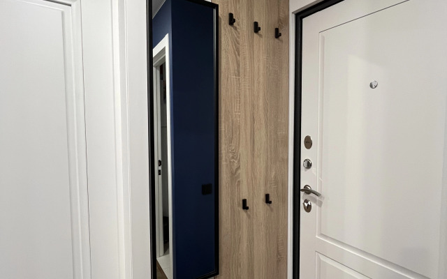 Unique Apart Indigo ryadom s Administratsiyey goroda i oblasti i MiTOK na Krasnoy 12 Apartment