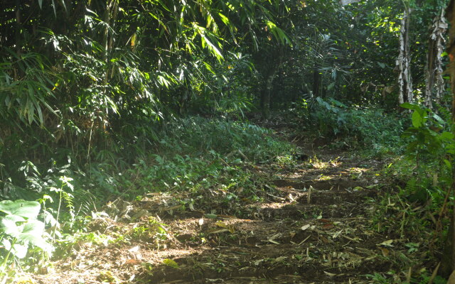 Tepi Sawah lodge Hostel