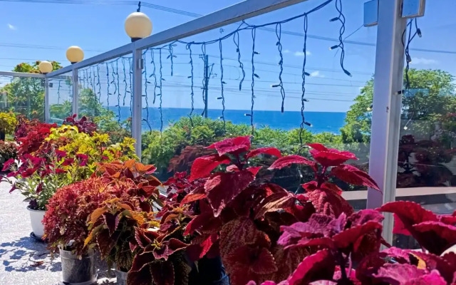 Villa Soho Sochi Russia Guest house