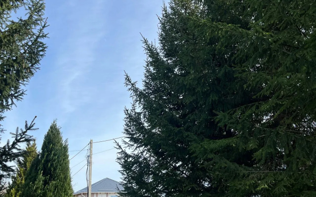 Частный дом Лоренц хаус