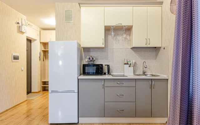 Квартира Просторная 1-ком