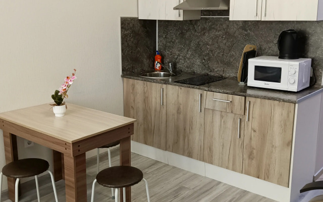 Na Vinogradnoy 22/1B Apartments
