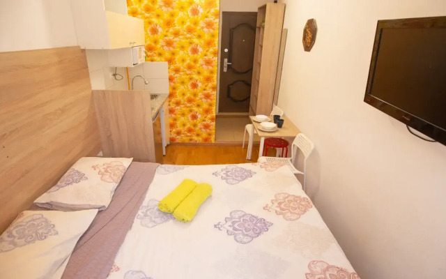 Апартаменты Владимирский