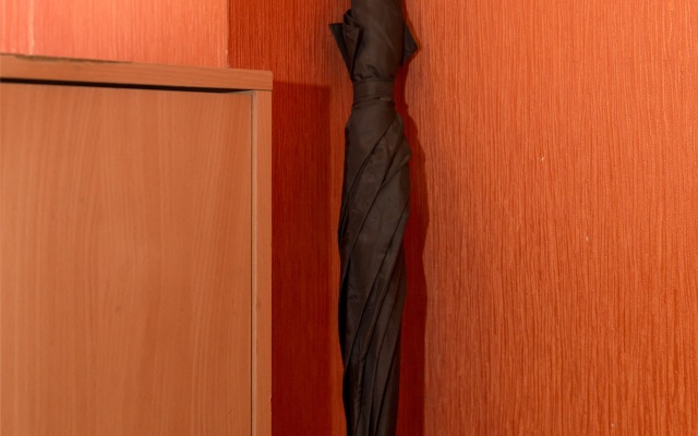 Apartamenty Dvukhkomnatnye Premium V Tsentre
