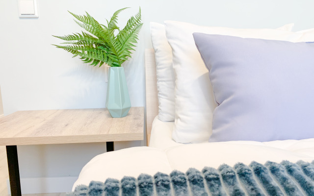 Апартаменты Уютная студия в центре на четверых