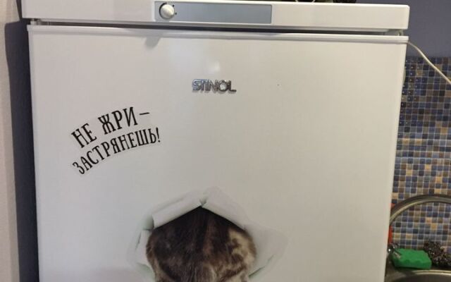 Апартаменты в центре на Чкалова 18