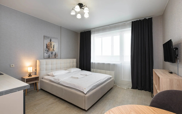 Квартира Апартаменты Домант, Романова, 60, №43