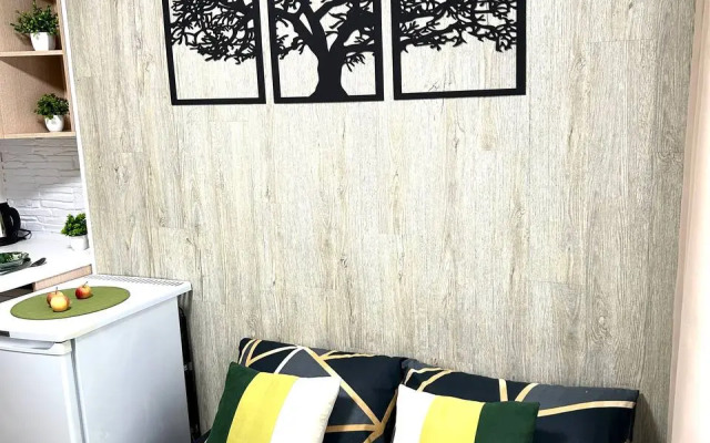 Квартира Студия 100 метров от метро