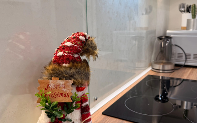 Жилое помещение Квартира 1-комнатная на Героев Рыбачьего 18