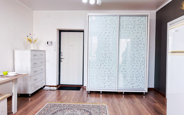 Апартаменты Меридиан Макатаева 127/11 (702)