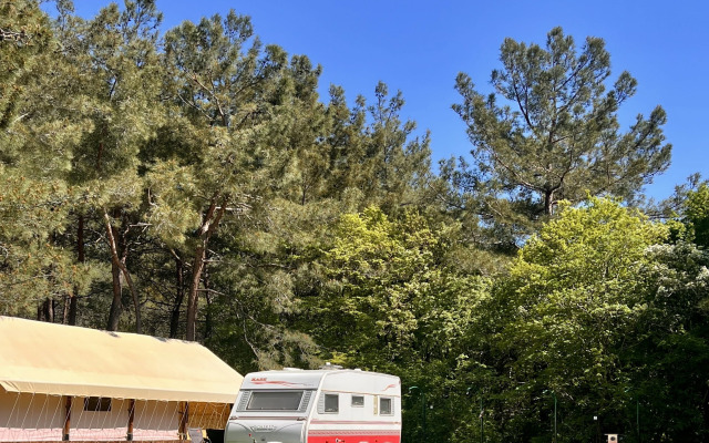 Кемпинг Под Соснами