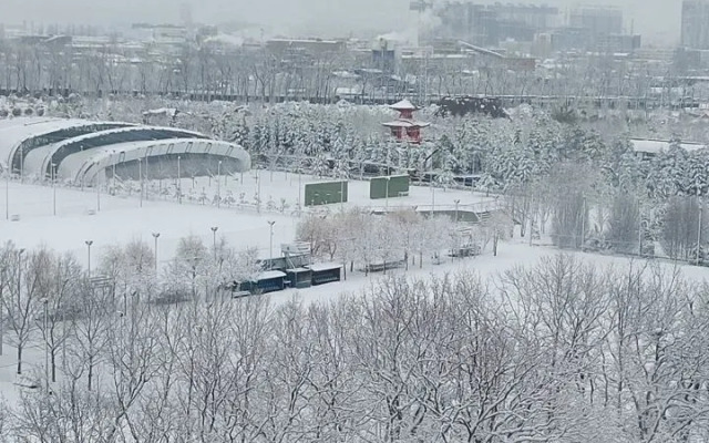 Квартира Лофт в сердце парка Галицкого