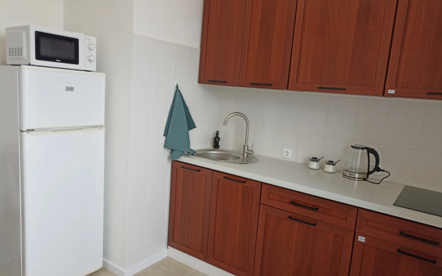 Vidovaya V Tsentre Kirovska Flat