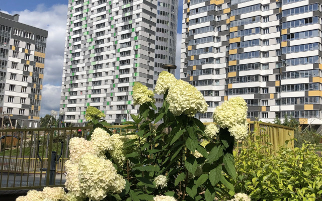 Квартира студия уютная в центре