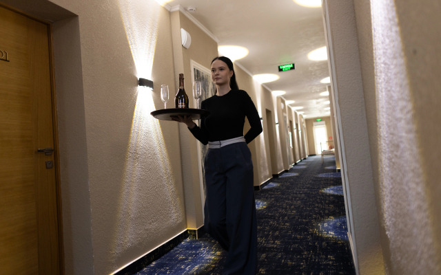 Hotel Aviator Sheremetyevo
