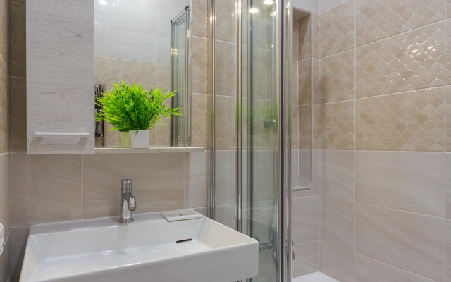 Dvukhkomnatnaya V Istoricheskom Tsentpe Gopoda S Parkovkoy Flat