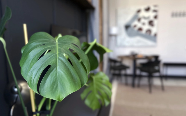 Квартира Солнечная в центре с видом на парк