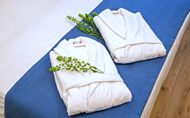 Отель Хорошов