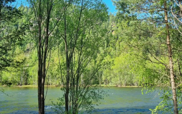 Частный дом коттедж в живописном месте на берегу реки Бия