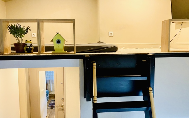 Апартаменты на Шереметьевской