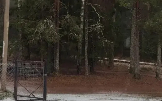 Частный Дом Сосны