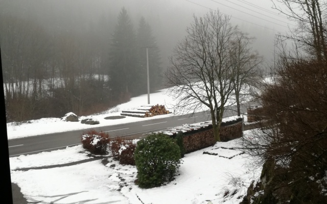 Апарт-Отель Black Forest family