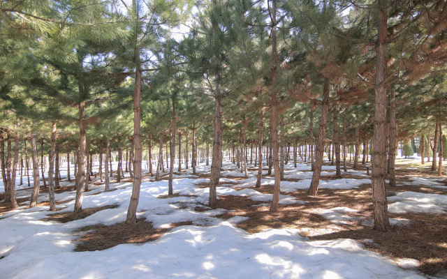 Курортный отель Humson Buloq