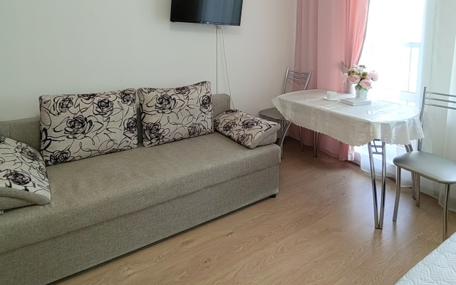 Kvartira Studiya U Metro Moskovskaya Lodging house