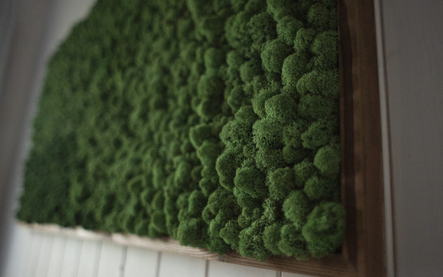 Частный дом Алтын Сарай