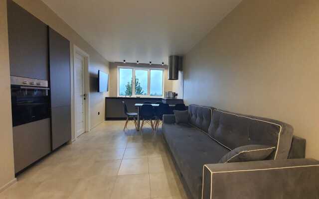 S Gostinoy I 3 Spalnyami Apartments