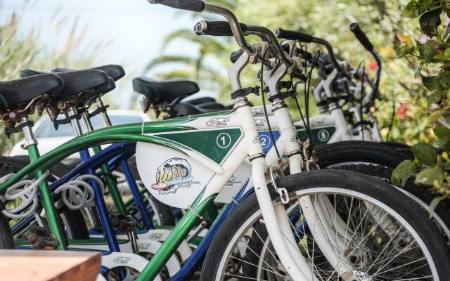 Da Silva Bike & Surf Camp Guest house